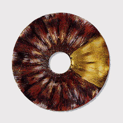 Люстра 6578/6 V2172 фото 3 Люстра 6578/6 V2172 фото 3