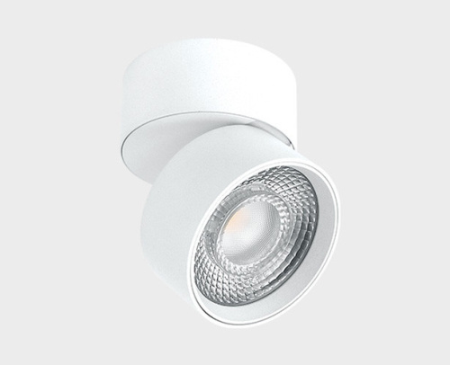 IT02-010 white 4000K светильник потолочный влагозащищенный