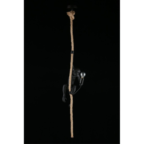 Светильник подвесной APL.309.16.01 фото 16