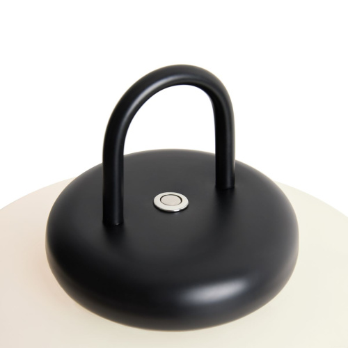 Настольная лампа Freya Take FR6175TL-L10B фото 5 Настольная лампа Freya Take FR6175TL-L10B фото 5