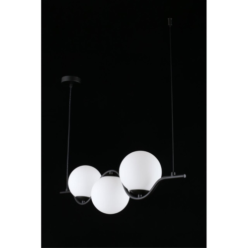 Люстра подвесная APL.312.03.03 фото 11