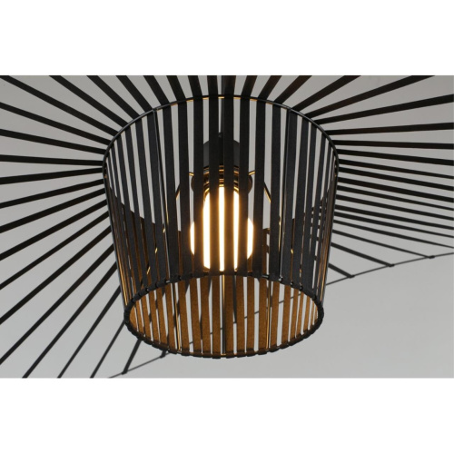 Светильник подвесной APL.656.06.01 фото 4