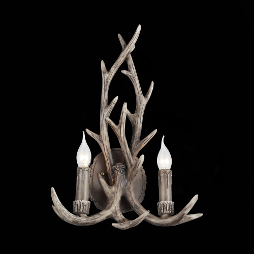 SL154.701.02 Бра ST-Luce Серый E14 2*40W CORNA фото 5