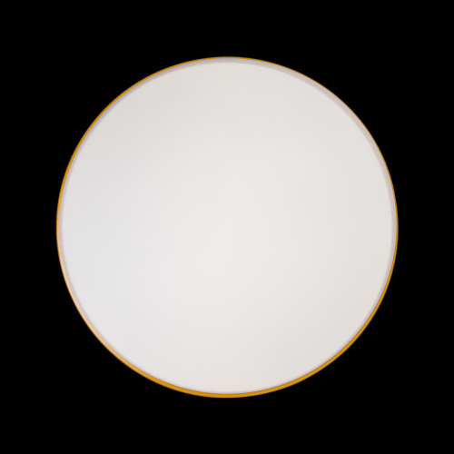 10001/36 Yellow Потолочный светильник LOFT IT Axel фото 4