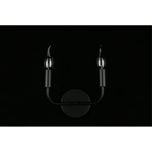 Светильник настенный (Бра) APL.338.11.02 фото 11