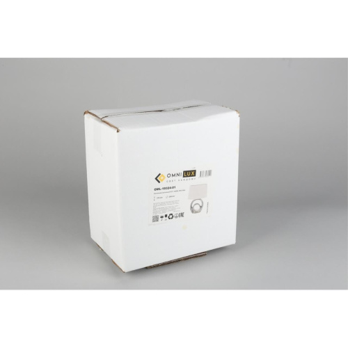 Настольная лампа OML-19324-01 фото 8