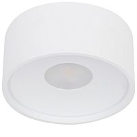 Накладной светильник Wertmark WTA WTA.O01.007.30.07