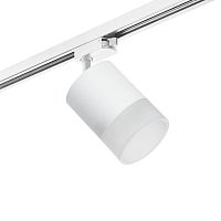 Комплект с трековым светильником Lightstar Rullo (213486+592086+202481) R1T348681