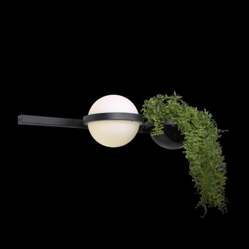 10121W/A Настенный светильник LOFT IT Jardin фото 3