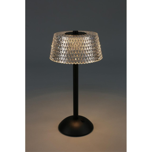 Настольная лампа OML-40104-01 фото 9