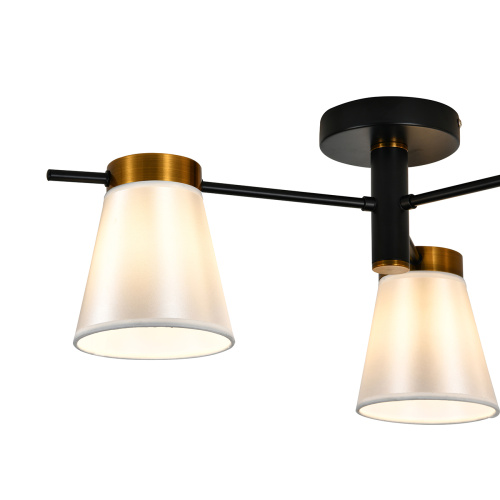 Светильник на штанге 120005/3R E14*40W Black/Gold фото 3