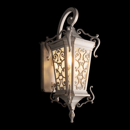 100019W WBG Уличный настенный светильник LOFT IT Tremezzo фото 2