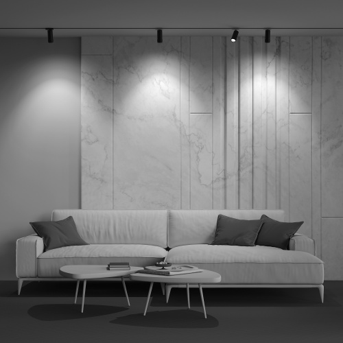 Трековый светильник Technical TR021-1-12B3K-Z-B фото 5 Трековый светильник Technical TR021-1-12B3K-Z-B фото 5