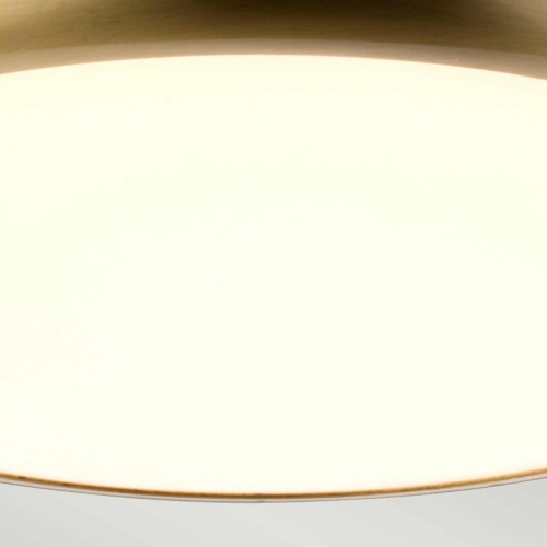 Потолочный светильник для ванных комнат Elstead Lighting, Арт. WELLAND-F-S-AB фото 6