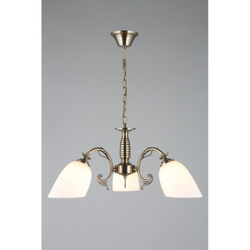 Люстра подвесная OML-56407-03 фото 4 Люстра подвесная OML-56407-03 фото 4