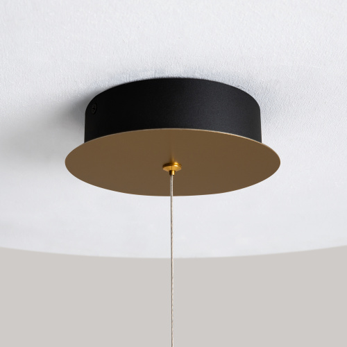 Подвесной светильник Maytoni MOD361PL-L22BS3K фото 8