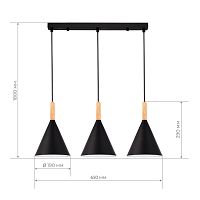SLE1255-403-03 Светильник подвесной Черный/Черный E27 3*40W ARKET