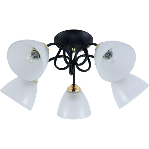 Потолочная люстра Rivoli Luiza 9140-305 Б0054904 Потолочная люстра Rivoli Luiza 9140-305 Б0054904