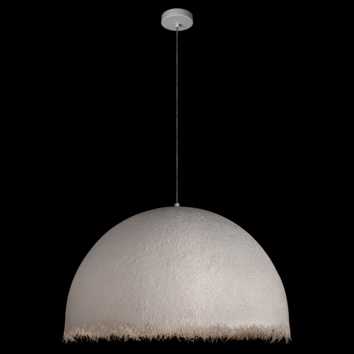 10372/800 Подвесной светильник LOFT IT Plancton фото 2 10372/800 Подвесной светильник LOFT IT Plancton фото 2