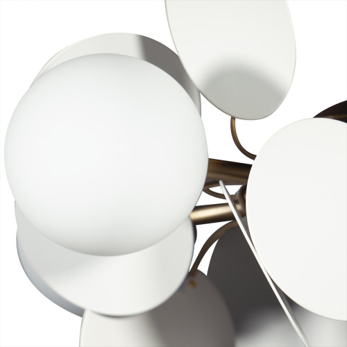 10008/6 white Подвесной светильник LOFT IT Matisse фото 6