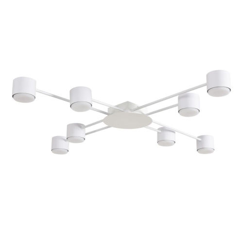 Светильник потолочный Lumion BENUA 8305/8C
