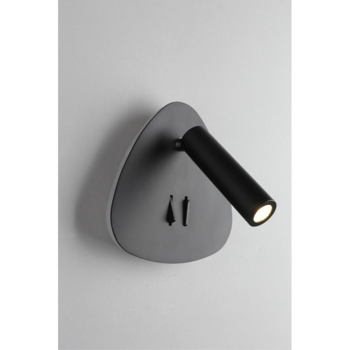 Светильник настенный (Бра) OML-20821-02 фото 4