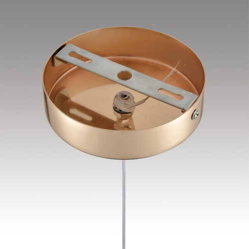 Подвесной светодиодный светильник Lumion Ledio Rimini 8083/1A фото 5 Подвесной светодиодный светильник Lumion Ledio Rimini 8083/1A фото 5