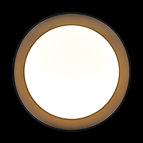 10202 BB  Потолочный светильник  LOFT IT Coin фото 5