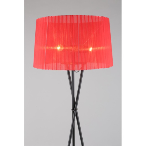 Торшер OML-62905-03 фото 4