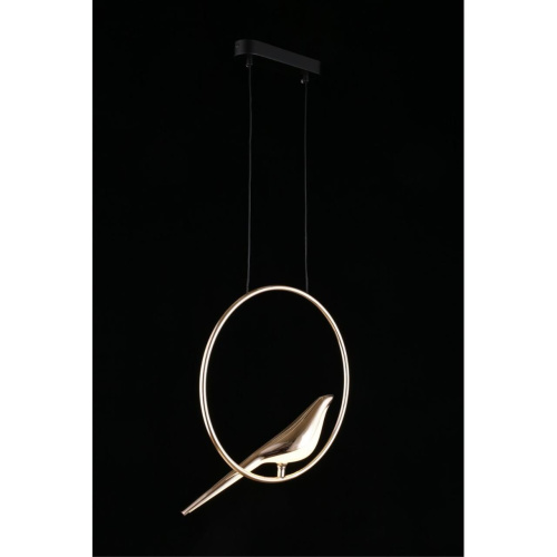 Светильник подвесной APL.822.06.10 фото 11