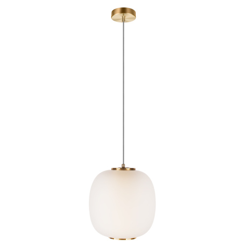 10425 White Подвесной светильник LOFT IT Hive фото 4