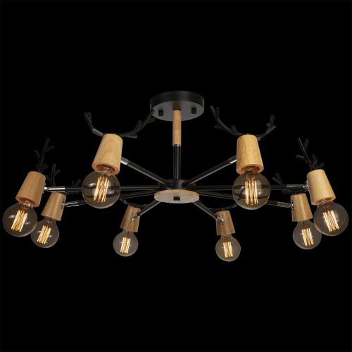 10024/8 Black Люстра на штанге LOFT IT Sven фото 2