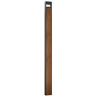 Садово-парковый светодиодный светильник Arte Lamp Arneb A2140PA-1BR