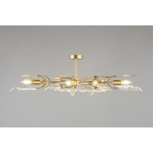 Люстра потолочная OML-52707-09 фото 5