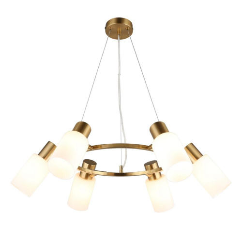 Люстра подвесная OML-69103-06