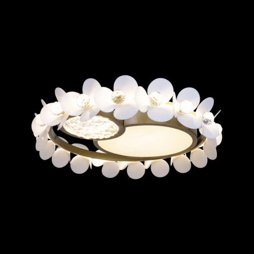 10173 Потолочный светильник LOFT IT Bride фото 2 10173 Потолочный светильник LOFT IT Bride фото 2