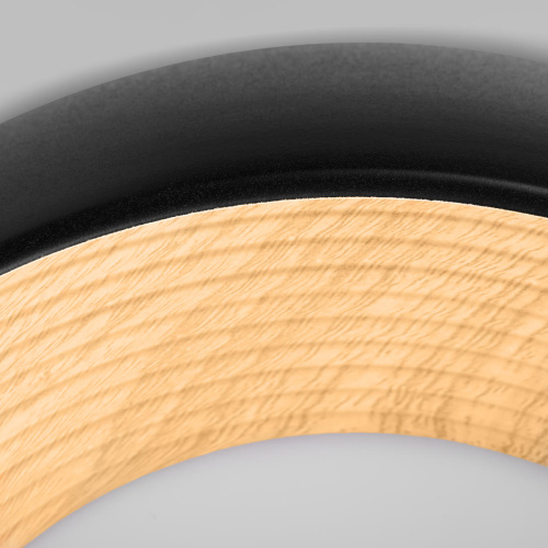 10255/350 Black Потолочный светильник LOFT IT Folk фото 4 10255/350 Black Потолочный светильник LOFT IT Folk фото 4