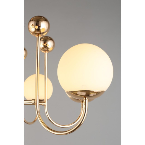 Люстра потолочная OML-67007-08 фото 7