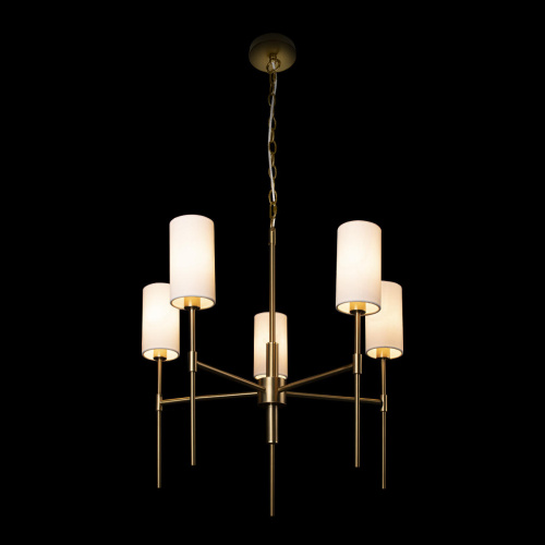 10307 Brass Подвесной светильник LOFT IT Comfy фото 7 10307 Brass Подвесной светильник LOFT IT Comfy фото 7