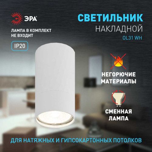 Настенно-потолочный светильник ЭРА OL31 WH Б0056375 фото 7