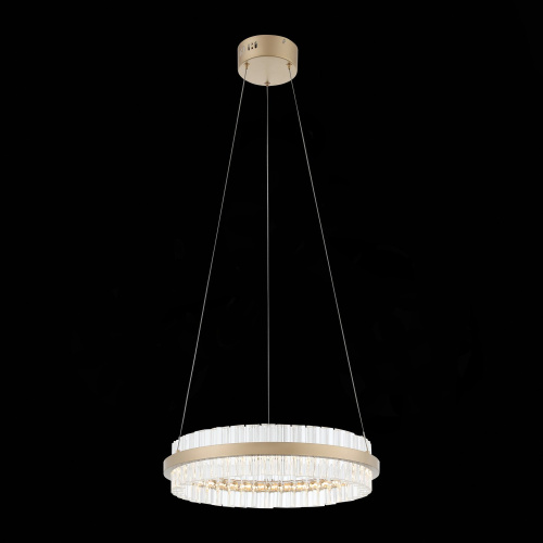 SL383.203.01 Светильник подвесной ST-Luce Золотистый/Золотистый, Прозрачный LED 1*34W 3000K CHERIO фото 11