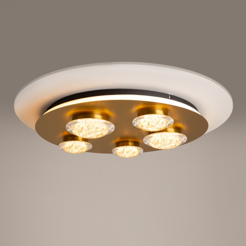 Потолочный светильник Maytoni MOD361CL-L58BS3K фото 4