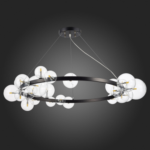 SL1165.403.24 Светильник подвесной ST-Luce Черный/Прозрачный G4 24*5W NECTON фото 6