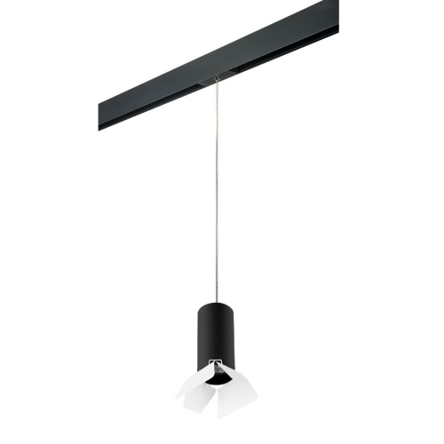 Комплект с трековым светильником Lightstar Rullo (214487+595857+202436) PRORP487436 Комплект с трековым светильником Lightstar Rullo (214487+595857+202436) PRORP487436