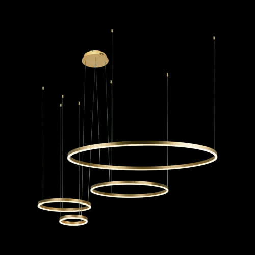 10017/4M Подвесной светильник LOFT IT Ring фото 4