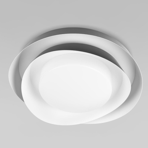 10256 Black Потолочный светильник LOFT IT Petale фото 4 10256 Black Потолочный светильник LOFT IT Petale фото 4