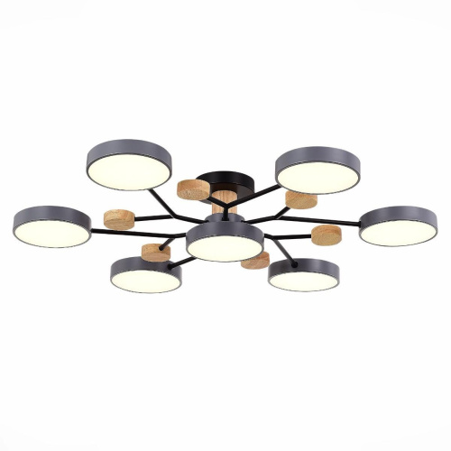 Потолочная светодиодная люстра Evoluce FAEMA SLE6006-702-07 Потолочная светодиодная люстра Evoluce FAEMA SLE6006-702-07