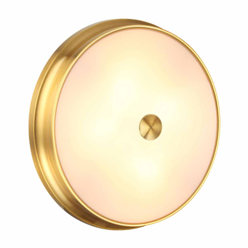 Настенно-потолочный светильник Odeon Light Walli Marsei 4824/4C фото 7