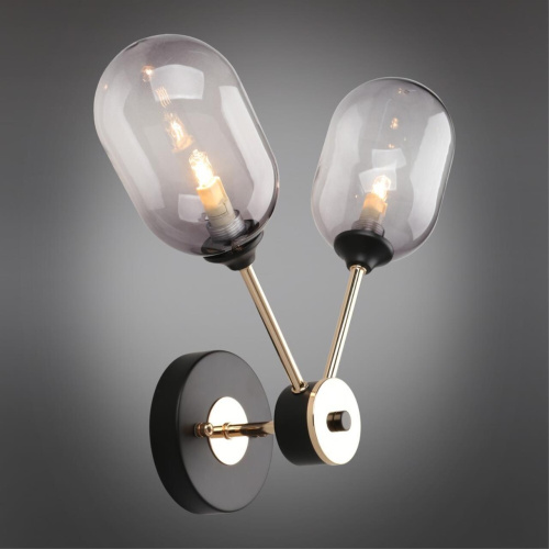 Светильник настенный (Бра) OML-94801-02 фото 3 Светильник настенный (Бра) OML-94801-02 фото 3