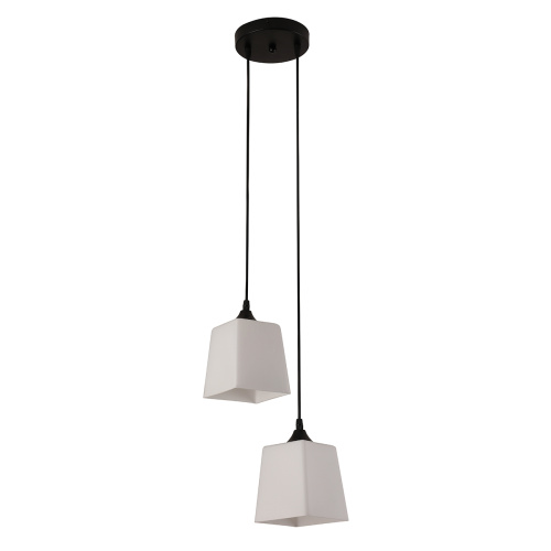 Подвесной светильник 160003/2P E27*60W Black фото 2